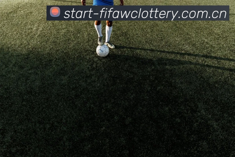 FIFA 体彩数据授权认证